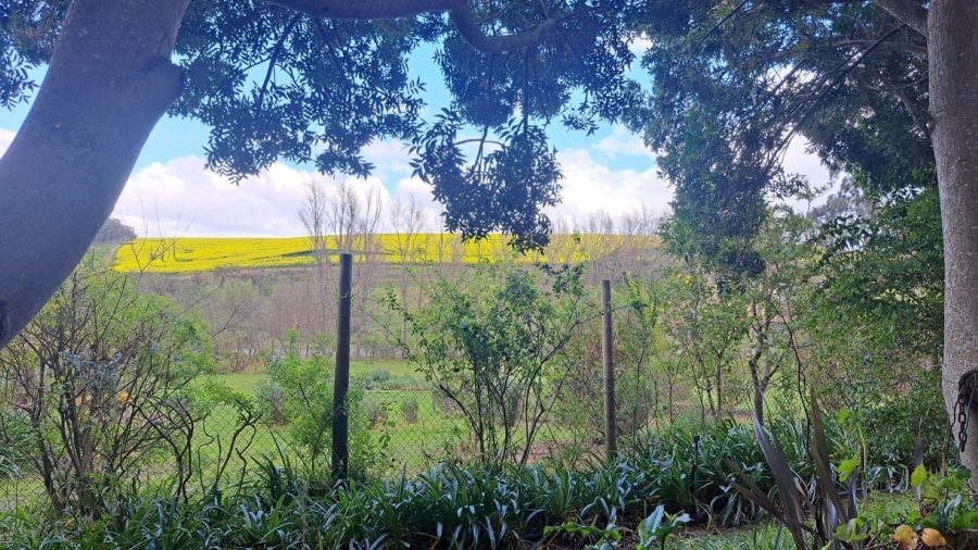 3 Bedroom Property for Sale in Caledon Western Cape
